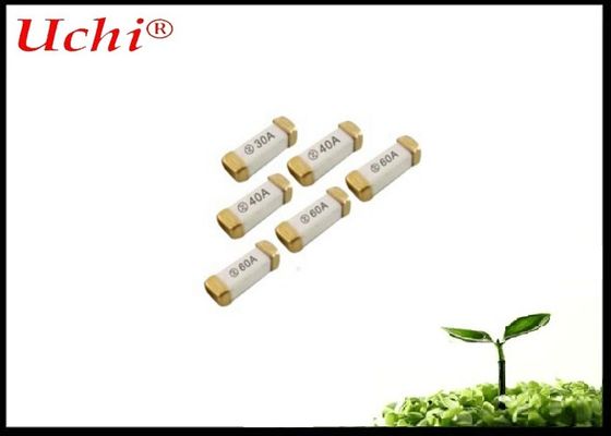 Hızlı hareketli seramik sigorta 2A 250V