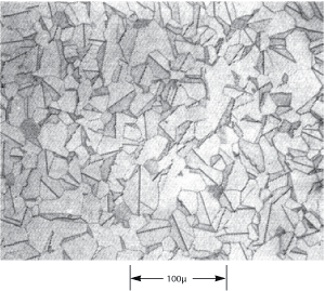 Figure_2._Optical_Photomicrograph_of_a_Polished_and_Etched_Section_of_a_Varistor